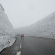 雲の中でした