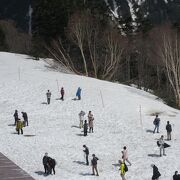 雪で真っ白でした