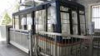 風で揺れました