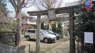 多摩川を見渡せます、「むすび市」が開かれるようです