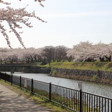 裏門橋付近