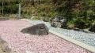 二重塔も良いが庭園も楽しめる