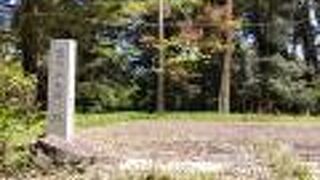 電波なくてビビる