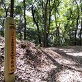 笠間城跡のある山