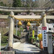 山寺の守護神なのよ