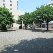 染井吉野発祥の地に造られた公園です