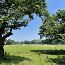 武蔵野中央公園