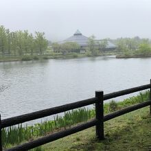 大賀ホールが遠くに見え、広い池がある矢ケ崎公園