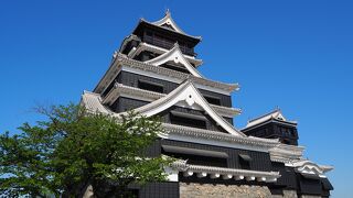 今しか見れない復旧工程も含めた熊本城