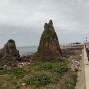 道海岸路沿いに見られます。