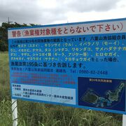 海の幸の採取は禁止です