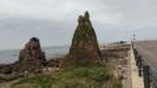 道海岸路沿いに見られます。