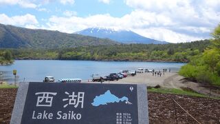 絶滅危惧種の魚に出会えるかも？