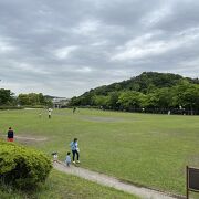 広々とした芝生広場