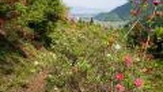 若穂 赤野田つつじ山公園