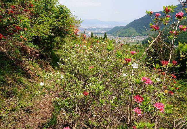 若穂 赤野田つつじ山公園