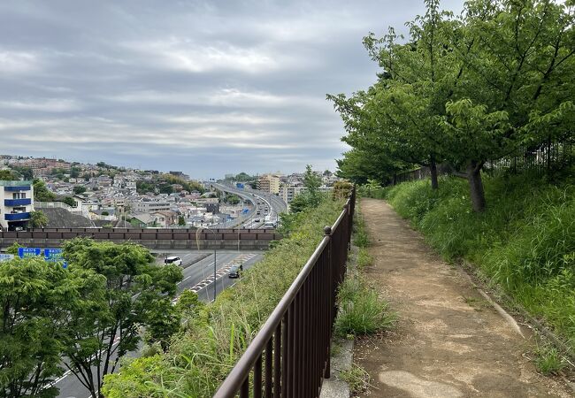 高台からの上大岡の街を一望