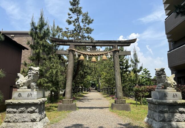 １キロに及ぶ参道