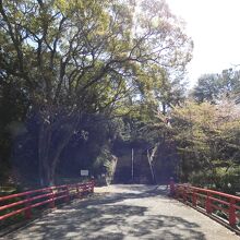 城山公園