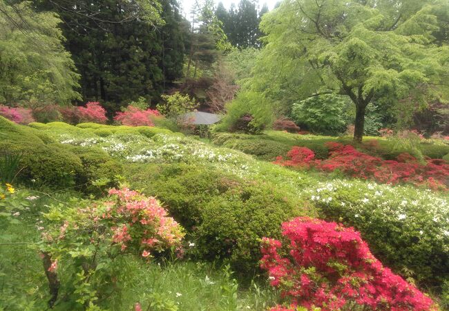 栗尾山満願寺つつじ公園