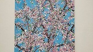 お花見気分の　ダミアン・・ハースト　桜