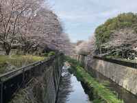 祖師谷公園