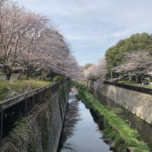 祖師谷公園