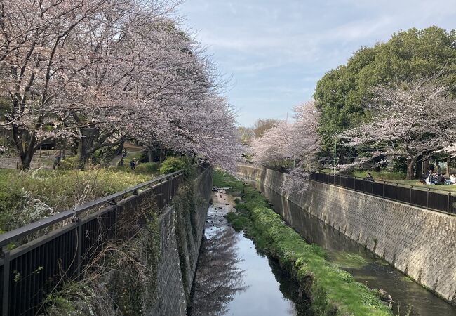 祖師谷公園