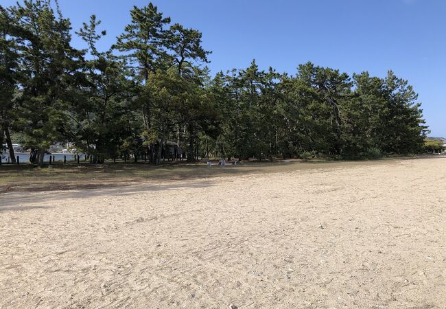 府中海水浴場 クチコミ アクセス 営業時間 天橋立 宮津 フォートラベル