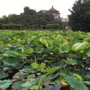 南海学園 台北植物園 　