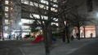 もともとは関東大震災の復興記念に整備された公園