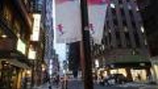 出雲から贈られたヤブツバキが街路樹として植えられたことから