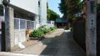 植物や木々の多い寺院