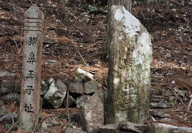 猪の鼻王子跡