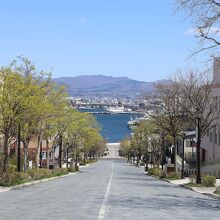 八幡坂からの風景