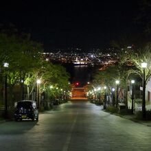 八幡坂からの夜景