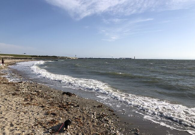 多屋海水浴場