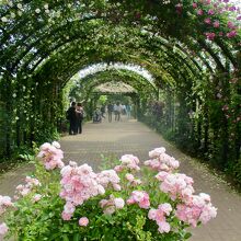 入り口を入ってすぐ