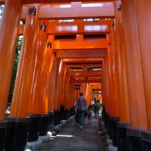 奥宮から始まる千本鳥居