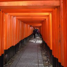 隙間なくびっしりと並んでます