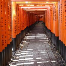 下る傾斜にも世界感～