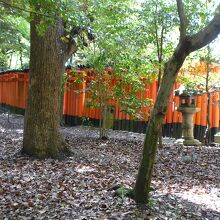 外側からの景観