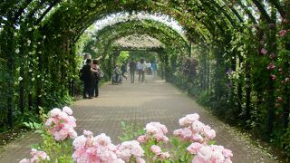 大人一人1200円で入館
