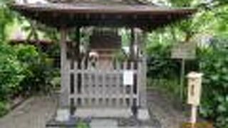 北里大学の敷地の中