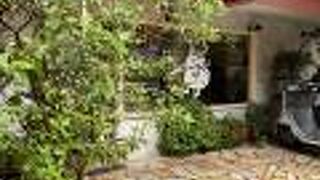 キーウィキッチン