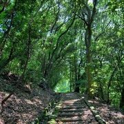 小高い山の上にある美術館