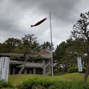 海の公園柴口売店