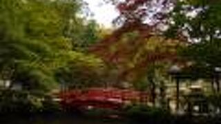 散策の途中に楽しめるスポット （貫井神社） 