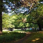 木々が多く残る自然環境豊かな公園