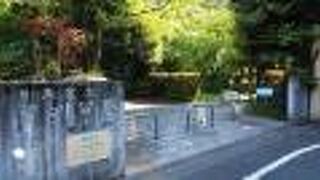 小さな庭園がある公園